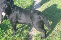 /album/fotogaleria/a100-1625-640x415-2-jpg/